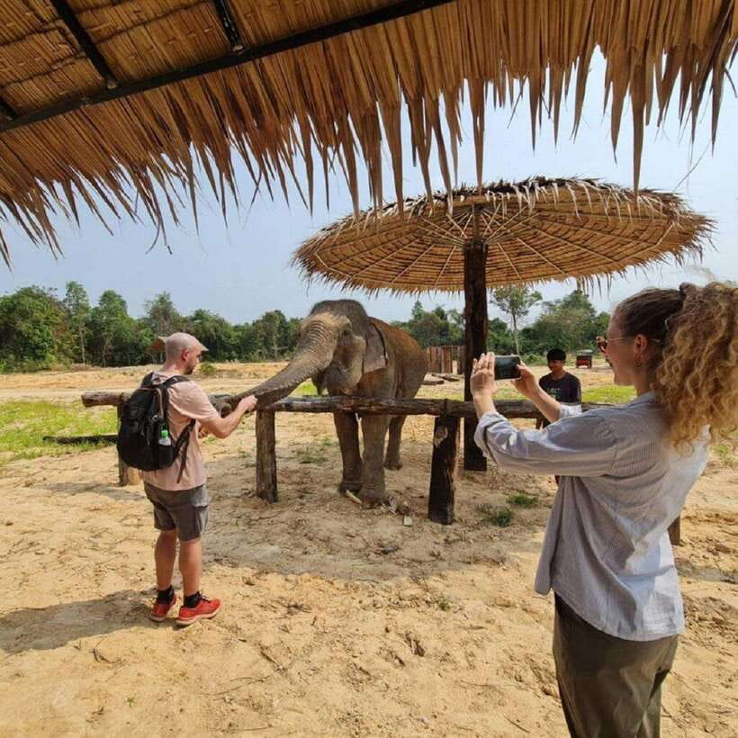 Cambodia Elephant Sanctuary and Banteay Srey Temple Tour - Is $71 a fair price?