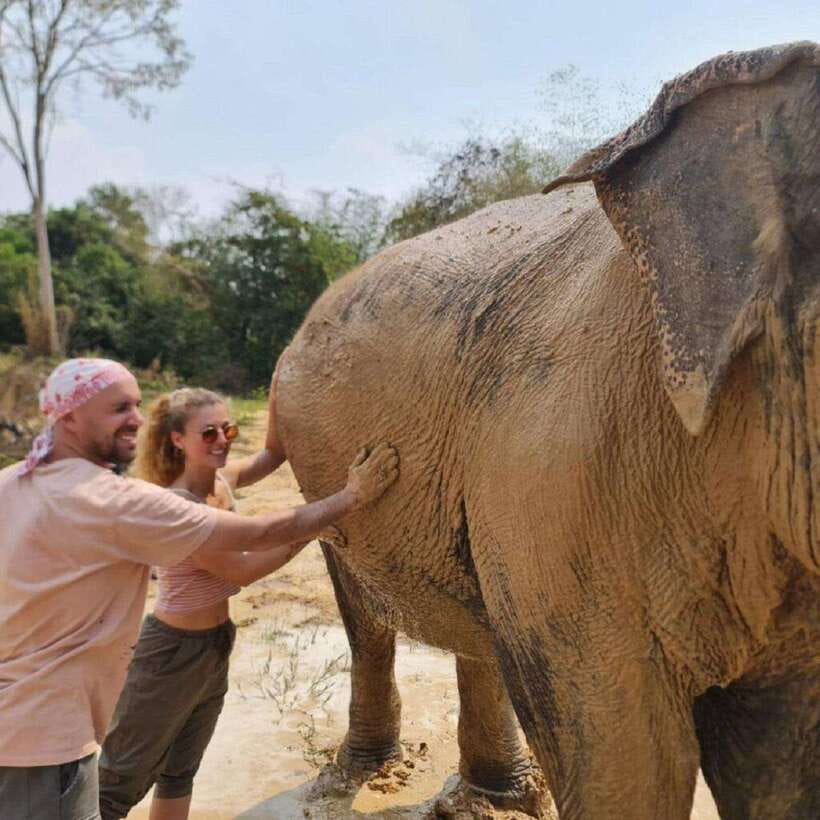Cambodia Elephant Sanctuary and Banteay Srey Temple Tour - Practical details that can make the day better