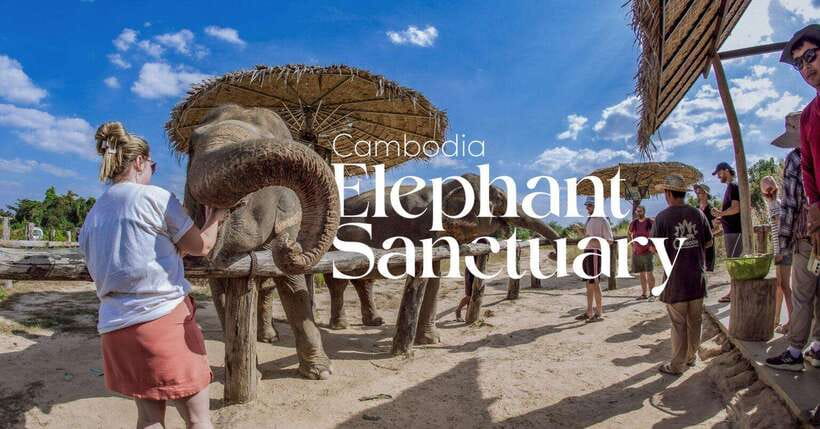 Cambodia Elephant Sanctuary and Banteay Srey Temple Tour - What the elephant cooking activity adds