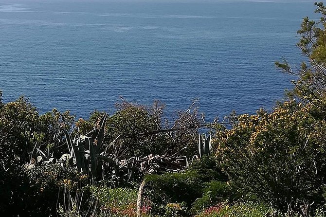 Cape Sounio and Temple of Poseidon Half Day Private Tour - Vouliagmeni Lake on the return to Athens