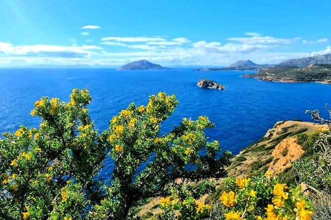 Cape Sounio and Temple Poseidon Tour with Swimming - What the driver can and cannot provide
