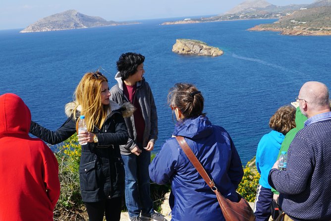 Cape Sounio Temple of Poseidon Half Day Private Tour - The driver and the optional licensed guide