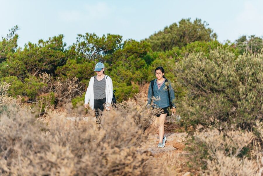 Cape Sounion & Temple of Poseidon: Small Group Tour - The coastal approach to Cape Sounion