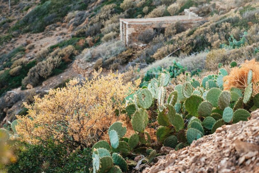 Cape Sounion & Temple of Poseidon: Small Group Tour - Entering the Temple of Poseidon