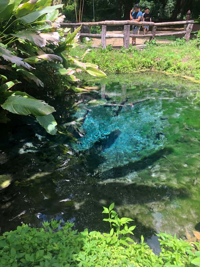 Chiang Dao Cave, Sticky Waterfall, Baan Den Temple Private - What the private vehicle changes