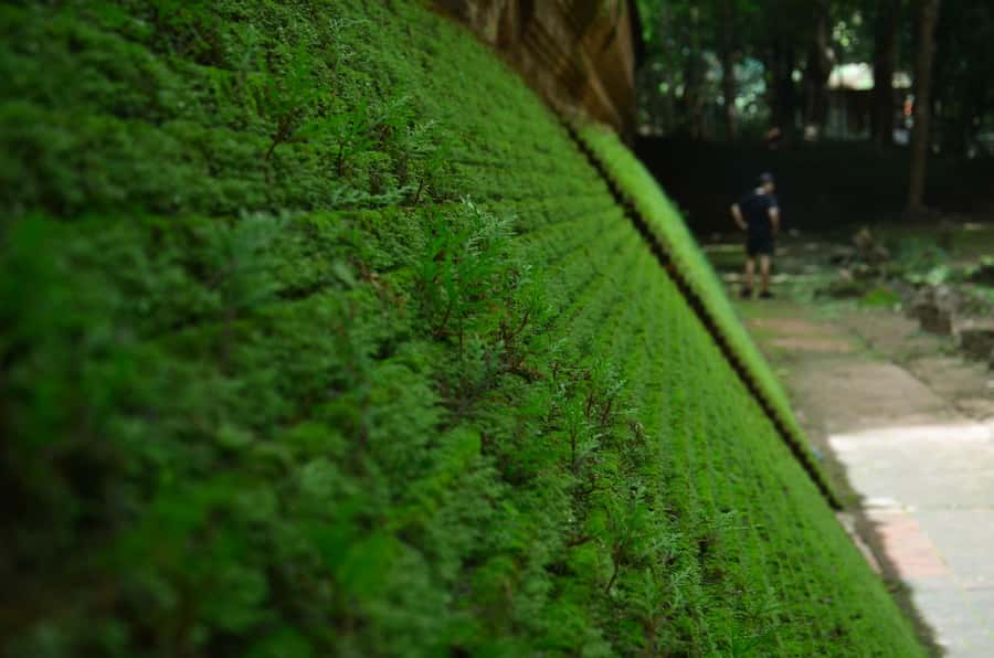 Chiang Mai: 4-hour Doi Suthep, Wat Umong, & Wat Phalat Tour - Three temples, three very different moods