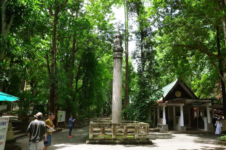 Chiang Mai: 4-hour Doi Suthep, Wat Umong, & Wat Phalat Tour - Who should book this temple route?