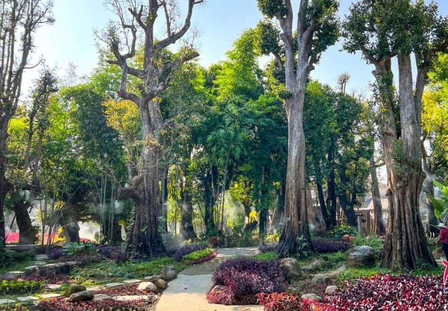 Chiang Mai: Angel Waterfall & Sticky Waterfall & Wat Ban Den - The van rides make this an easy day trip