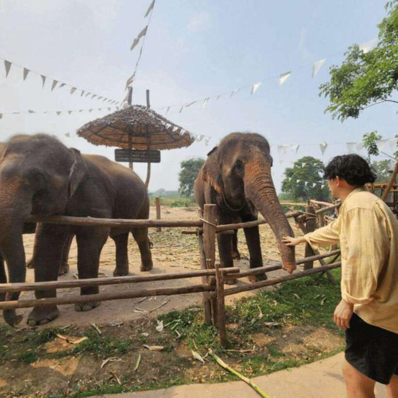 Chiang Mai: Dantewada ,Wat Ban Den Temple & Cafe Elephant - Is $107 a fair price?