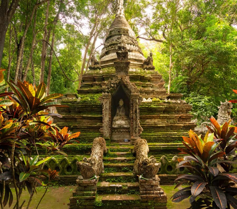 Chiang Mai: Doi Suthep Temple & Sticky Waterfall Trip - Why this Chiang Mai day trip works