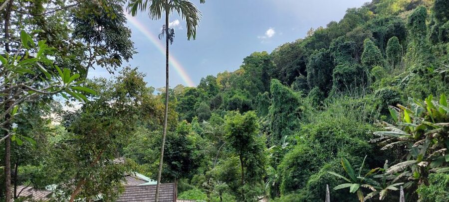 Chiang Mai: Doi Suthep Temple & Sticky Waterfall Trip - Wat Pha Lat, the forest temple