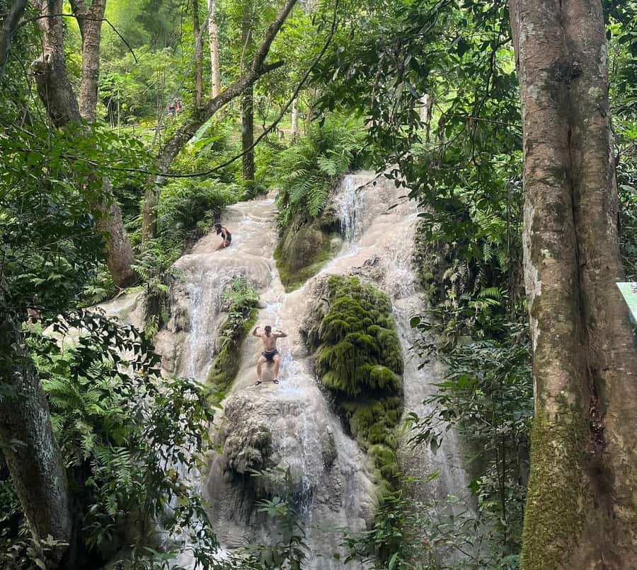 Chiang Mai: Doi Suthep Temple & Sticky Waterfall Trip - Bai Orchid and Butterfly Farm