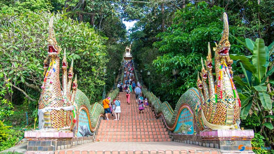 Chiang Mai: Doi Suthep, Wat Pha Lat & Wat Umong Spanish Tour - Warorot Market and the final taste of Chiang Mai