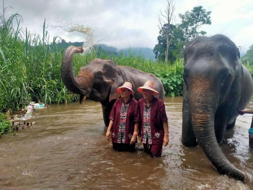 Chiang Mai: Elephants, Sticky Waterfalls, Market and Temple - The local market: a quick lesson in Northern Thai life