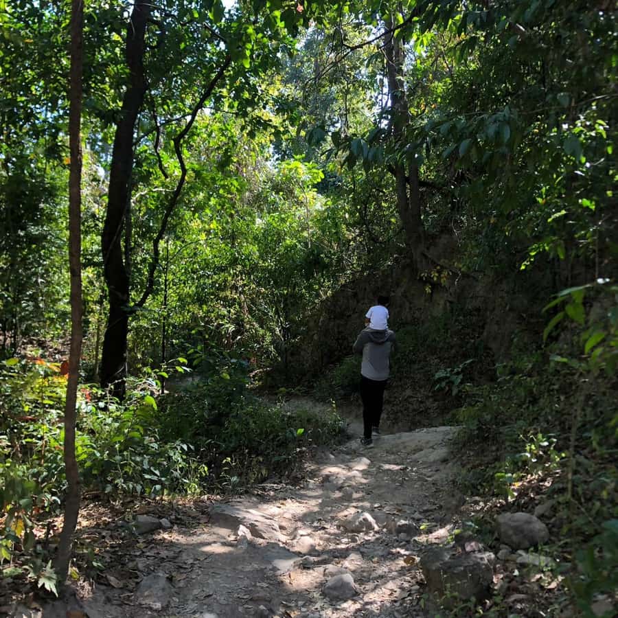 Chiang Mai Monk's Trail Wat Pha Lat & Visit Wat Doi Suthep - Walking the Monk’s Trail to Wat Pha Lat