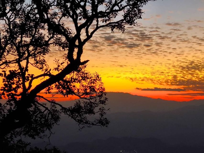 Chiang Mai Sunset Point,Wat Pha Lat,Wat Doi Suthep,Wat Umong - Is $73 a fair price?