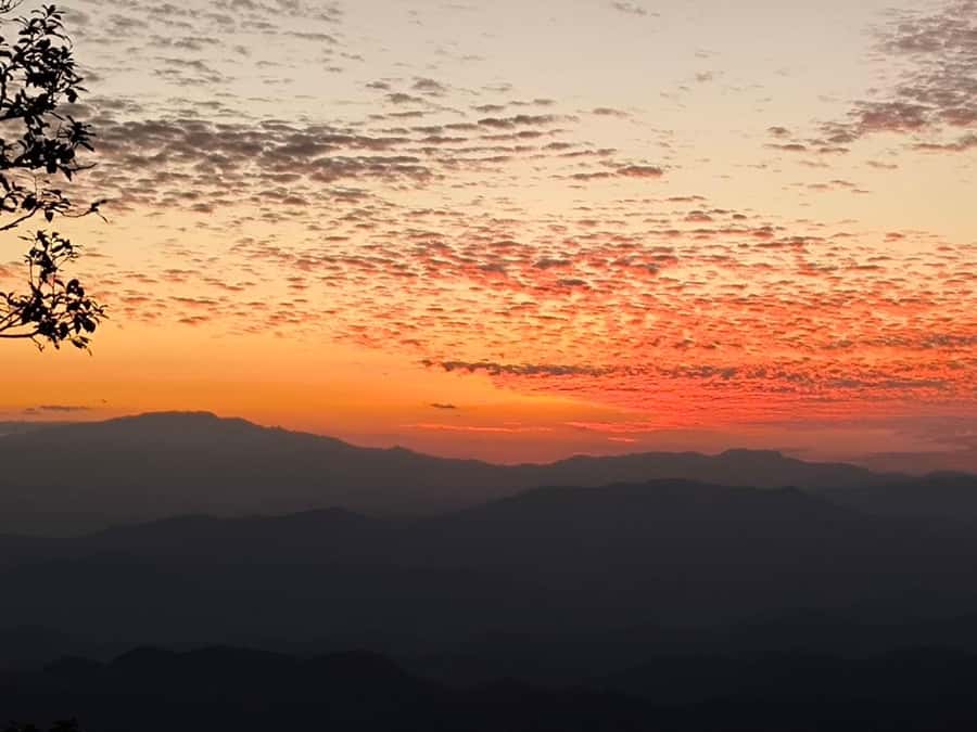 Chiang Mai Sunset Point,Wat Pha Lat,Wat Doi Suthep,Wat Umong - What to bring for six hours