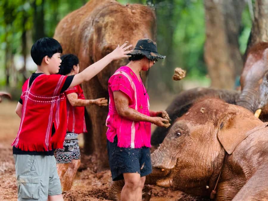 Chiang Mai : Temple , Nature and culture in one day. - Key points to know before you book