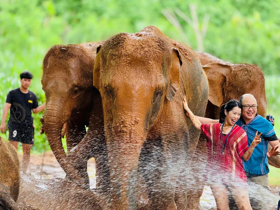 Chiang Mai : Temple , Nature and culture in one day. - A 7 a.m. start and a full day on the road