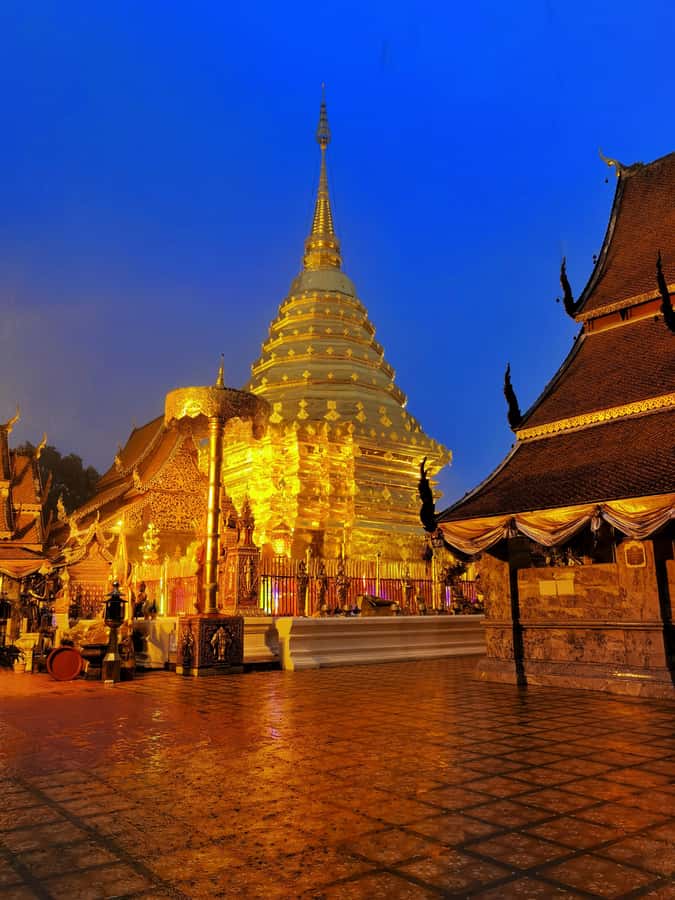 Chiang Mai : Temple , Nature and culture in one day. - Wat Umong, where forest and Buddhist practice meet
