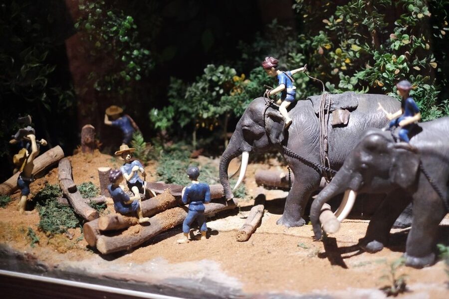 Chiang Mai: Temples & Culture Tour - Practical limits to consider before booking