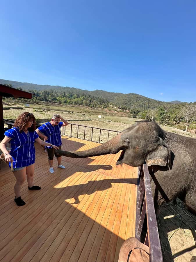 Chiang Mai: Two-day Temple of Elephants Sanctuary Tour - Who Will Enjoy This, and Who Should Skip It