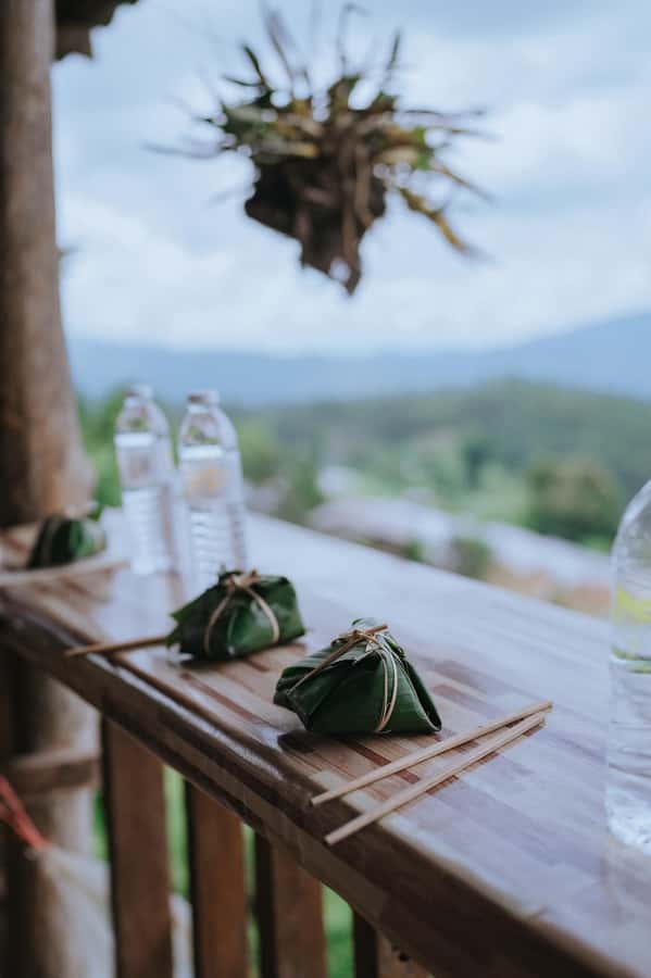 Chiang Mai: Two-day Temple of Elephants Sanctuary Tour - The Jungle Trek to the Waterfall Homestay