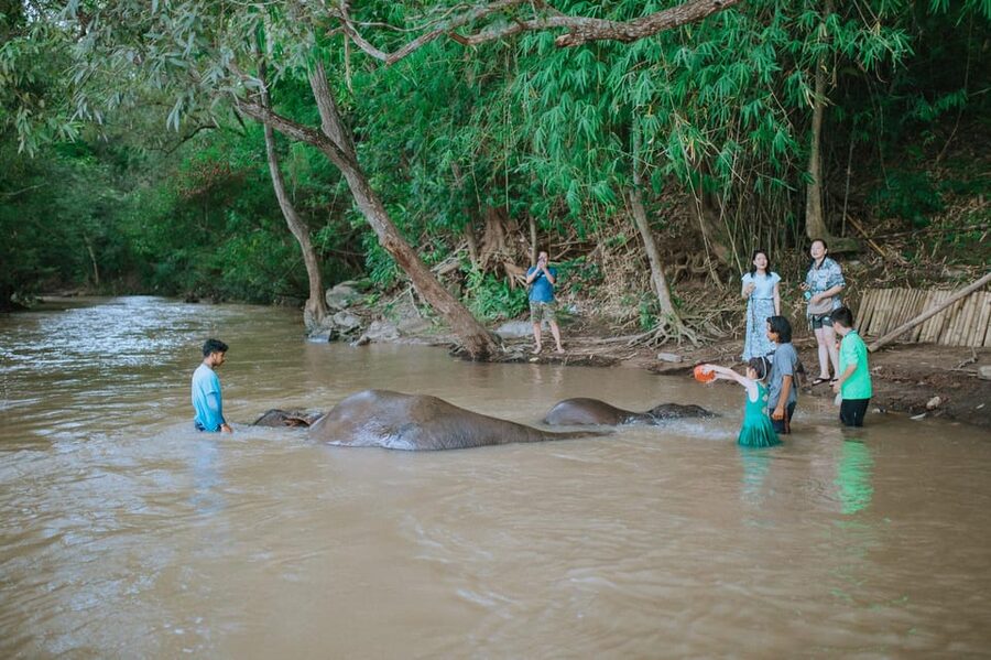 Chiang Mai: Two-day Temple of Elephants Sanctuary Tour - Sleeping Beside a Waterfall Without Electricity
