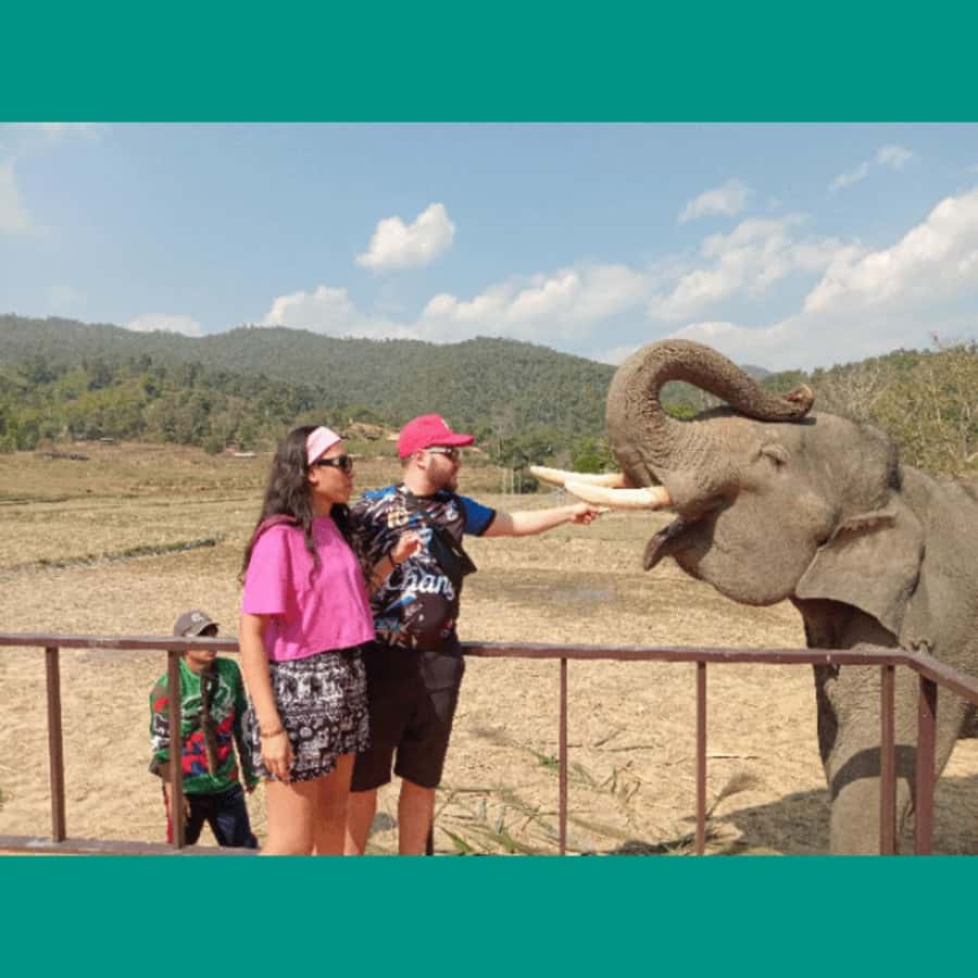 Chiang Mai: Two-day Temple of Elephants Sanctuary Tour - Returning Through Forest and Waterfalls
