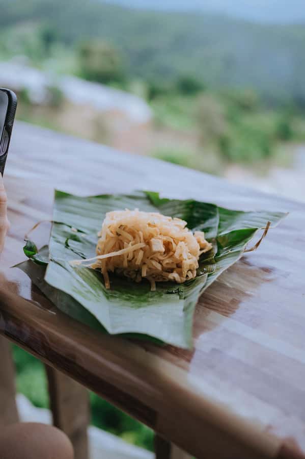 Chiang Mai: Two-day Temple of Elephants Sanctuary Tour - What to Pack for the Jungle