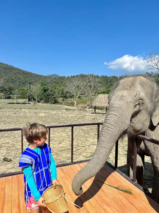 Chiang Mai: Two-day Temple of Elephants Sanctuary Tour - The Guides Make a Big Difference