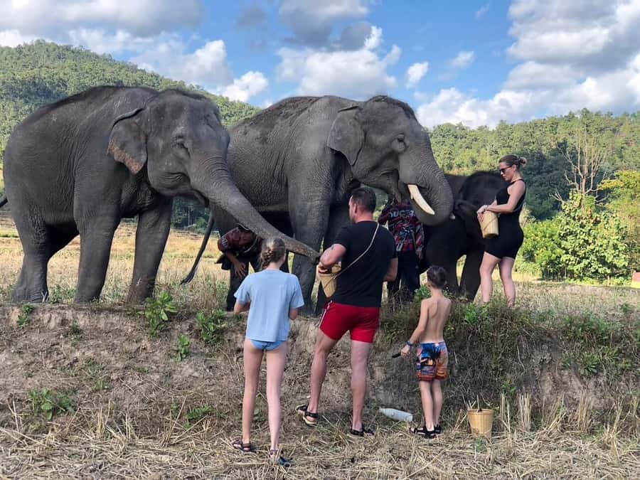 Chiang Mai: Two-day Temple of Elephants Sanctuary Tour - Bamboo Rafting on the Mae Wang River