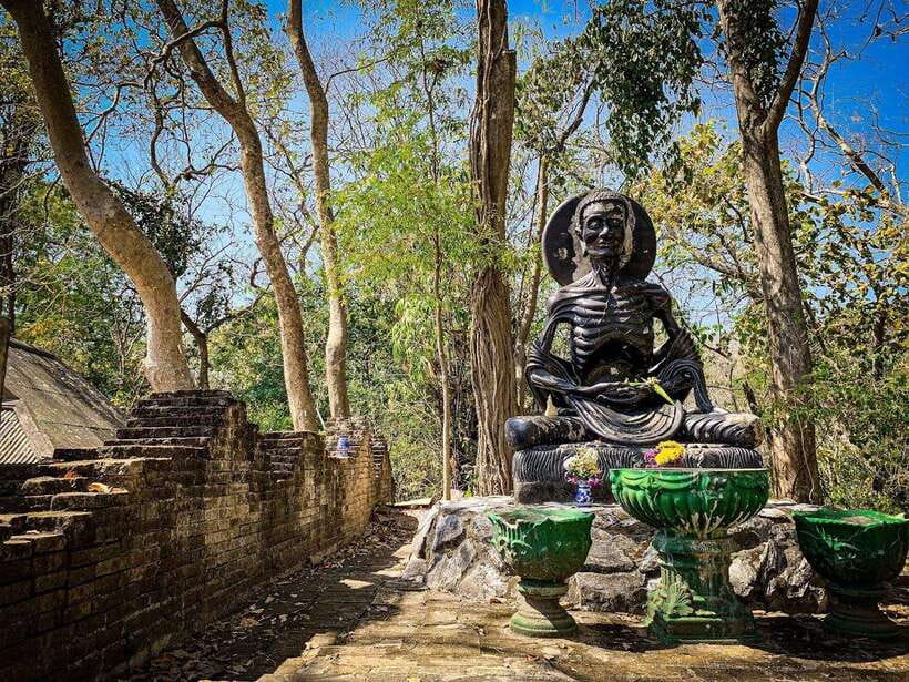 Chiang Mai:Wat Phra That Doi Suthep & Wat Umong Evening Tour - Who should book this tour?
