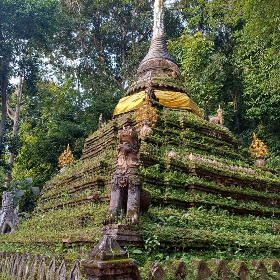 Chiang Mai: Wat Umong, Wat Pha Lat And Wat Doi Suthep Tour - Why these three Chiang Mai temples work so well together