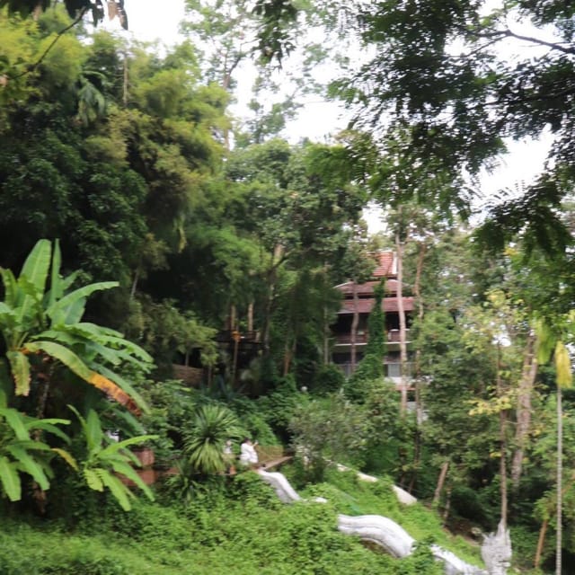 Chiang Mai: Wat Umong, Wat Pha Lat And Wat Doi Suthep Tour - What the private guide adds to the morning