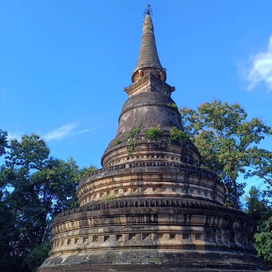 Chiang Mai: Wat Umong, Wat Pha Lat And Wat Doi Suthep Tour - How the price compares with an independent visit