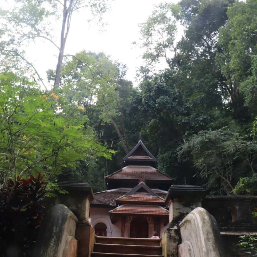 Chiang Mai: Wat Umong, Wat Pha Lat And Wat Doi Suthep Tour - Who should book this temple tour?