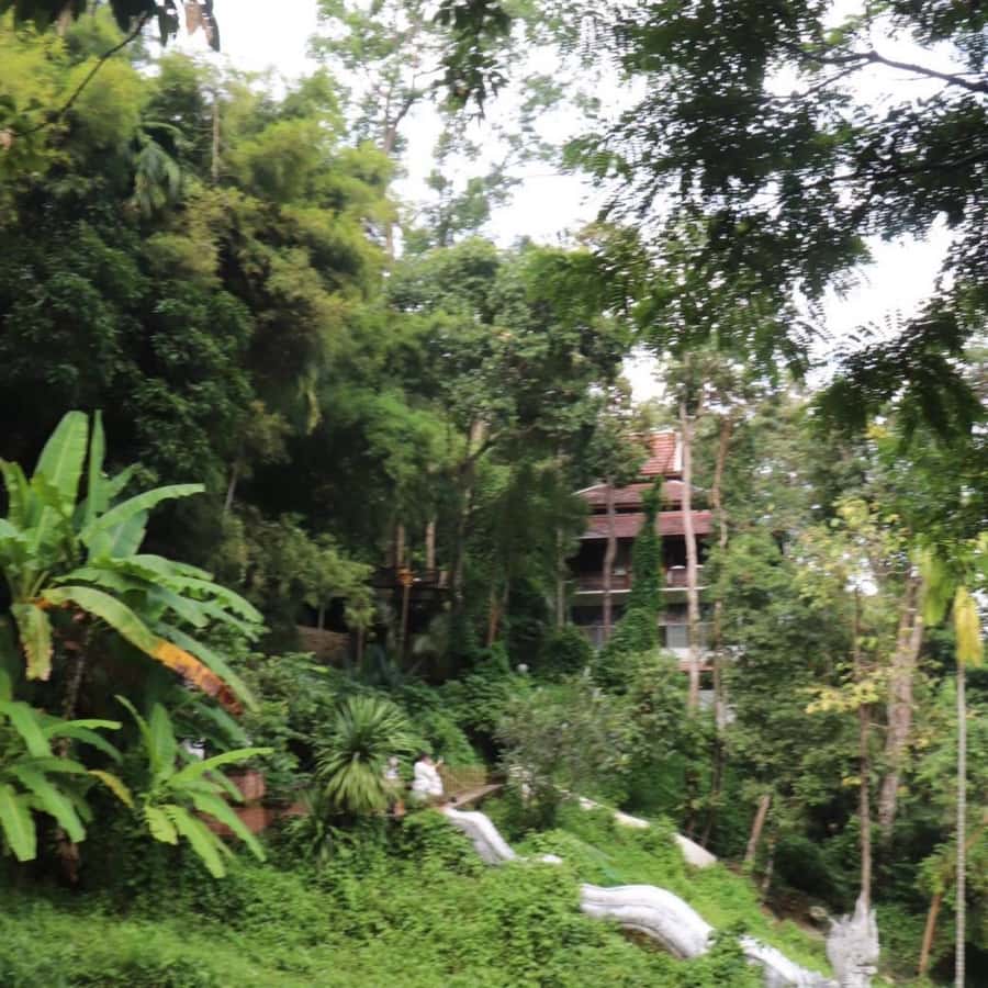 Chiang Mai: Wat Umong, Wat Pha Lat And Wat Doi Suthep Tour - Should you book it?