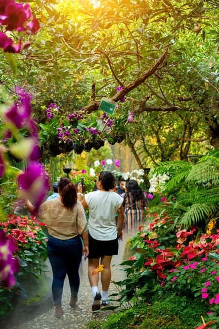 Chiang Rai: 3 Temples, Long Neck Village & Lalitta Café - Key points to know before booking