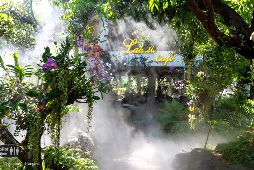 Chiang Rai: 3 Temples, Long Neck Village & Lalitta Café - What the $69 price really covers