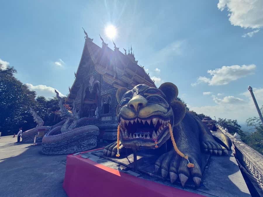 Chiang Rai : Half-Day Temple Tour in Chiang Rai (8 am -1 pm) - Is $123 good value for three people?