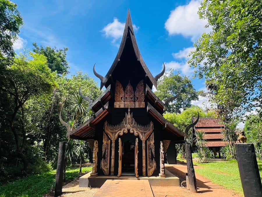 Chiang Rai:Private Transfer to Chiang Mai with Temples Visit - What the guide adds to the day