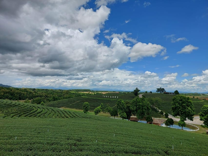 Chiang Rai: Temple Treasures & Popular Sightseeings (Buffet) - Thai buffet lunch in Mae Chan