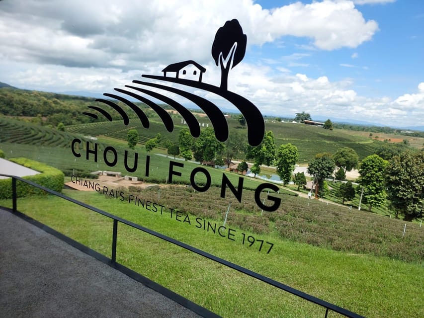 Chiang Rai: Temple Treasures & Popular Sightseeings (Buffet) - Choui Fong Tea Farm and the highland pause