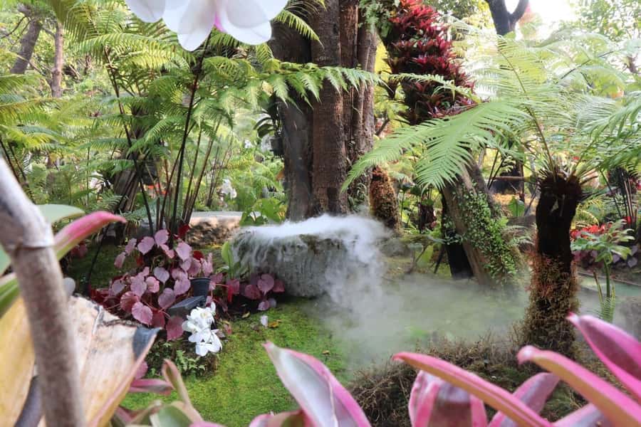 Chiang Rai: Temples Trip with Sang Kaew and Lalitta Cafe - Lalitta Cafe: more than a coffee break