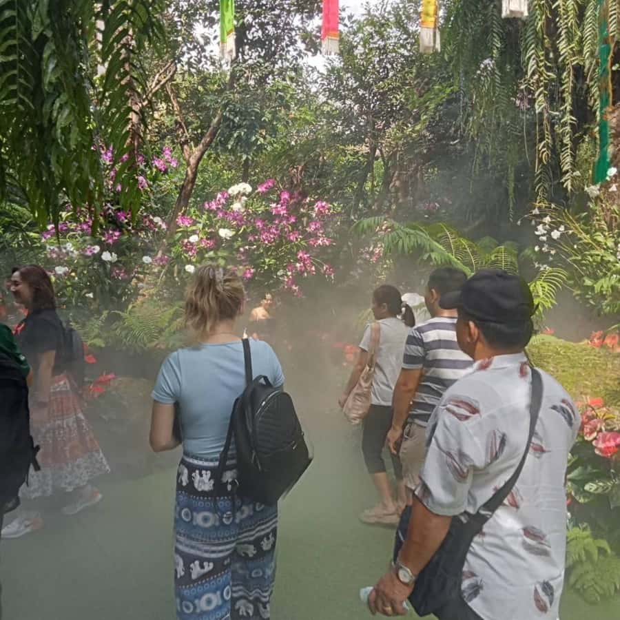 Chiang Rai White & Blue & Huay Pla Kang Temple& Lalitta Cafe - Who should book this Chiang Rai day trip