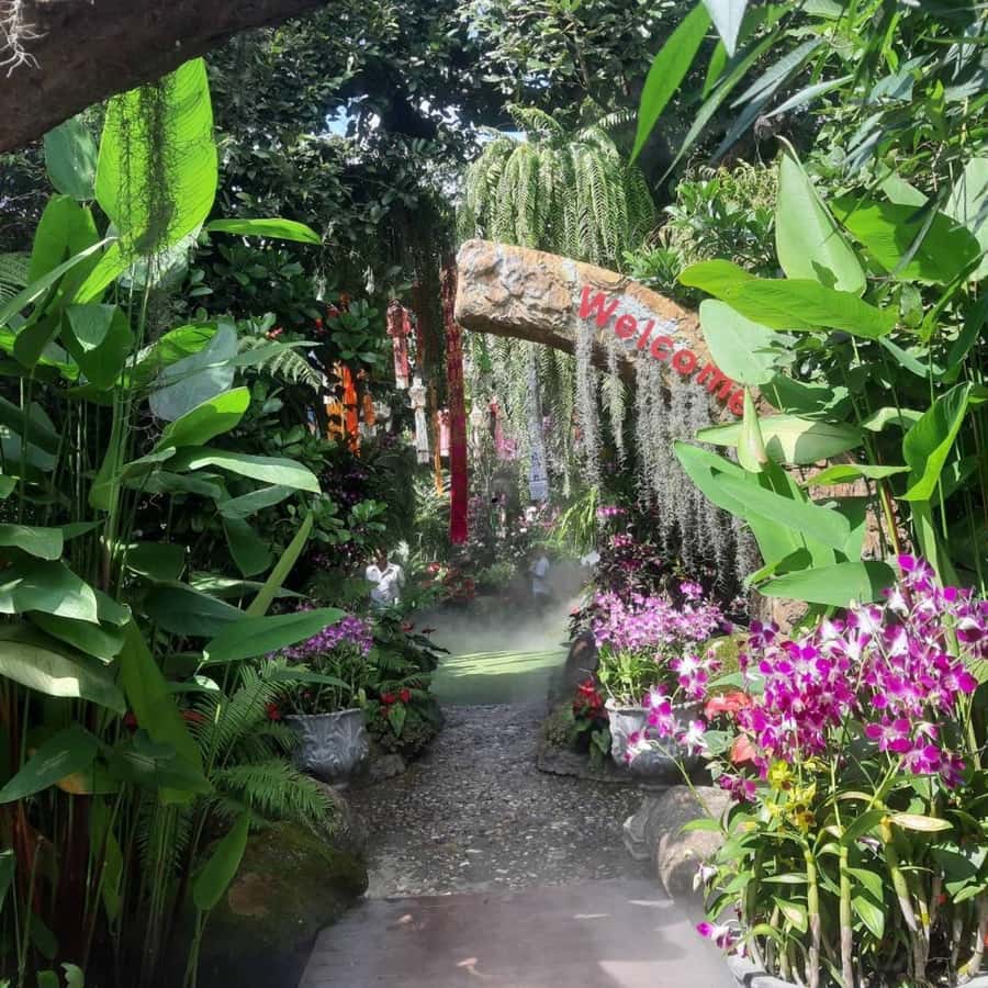 Chiang Rai White & Blue & Huay Pla Kang Temple& Lalitta Cafe - Mae Khachan Hot Spring gives the drive a useful pause