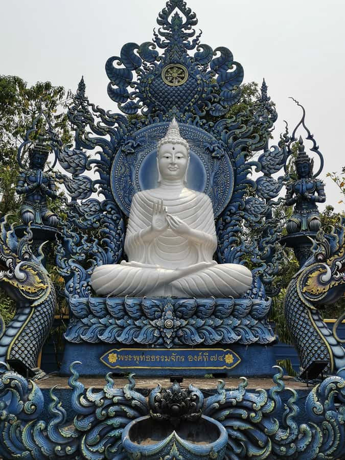 Chiang Rai White, Blue, Red 3 Temples Tour - Wat Rong Khun, the White Temple