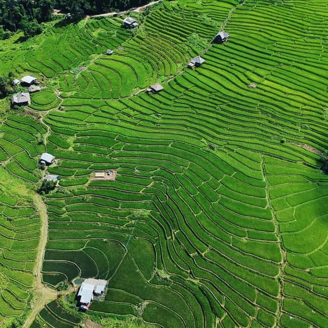 Chiangmai : Doi Inthanon unseen spot , Rice terrace & temple - Why this day trip works for curious Chiang Mai visitors