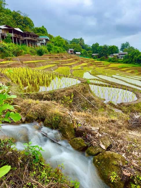 Chiangmai : Doi Inthanon unseen spot , Rice terrace & temple - Ban Mae Klang Laung and Karen coffee